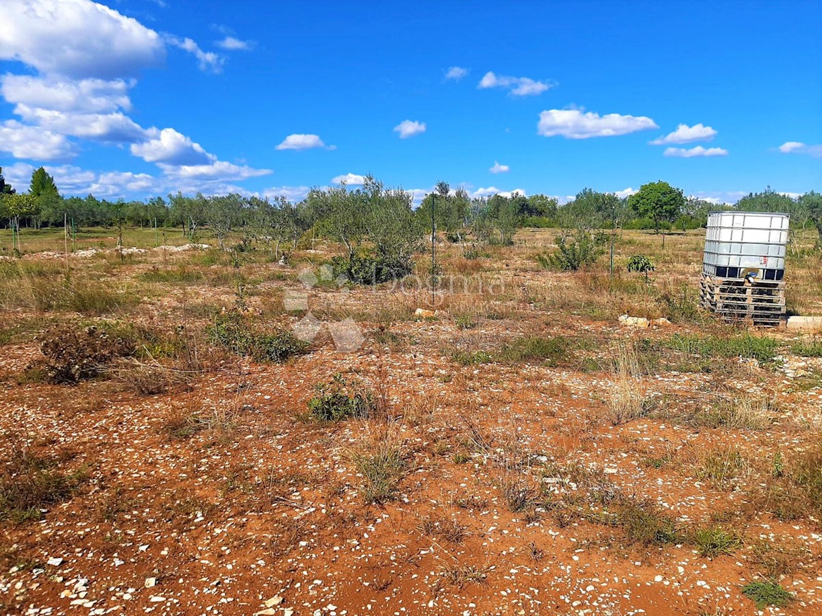 Land For sale - ISTARSKA  FAŽANA 