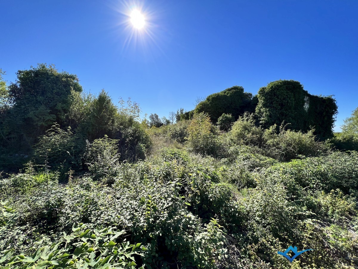 Terreno In vendita - ISTARSKA  UMAG 