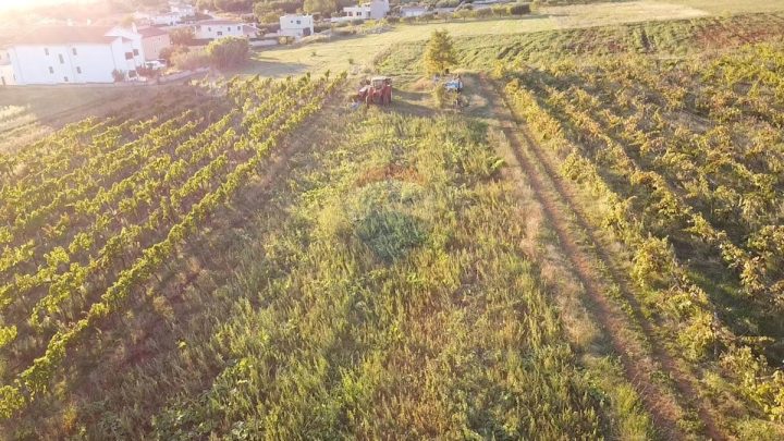 Grundstück zu verkaufen 1500 m² – Kaštelir