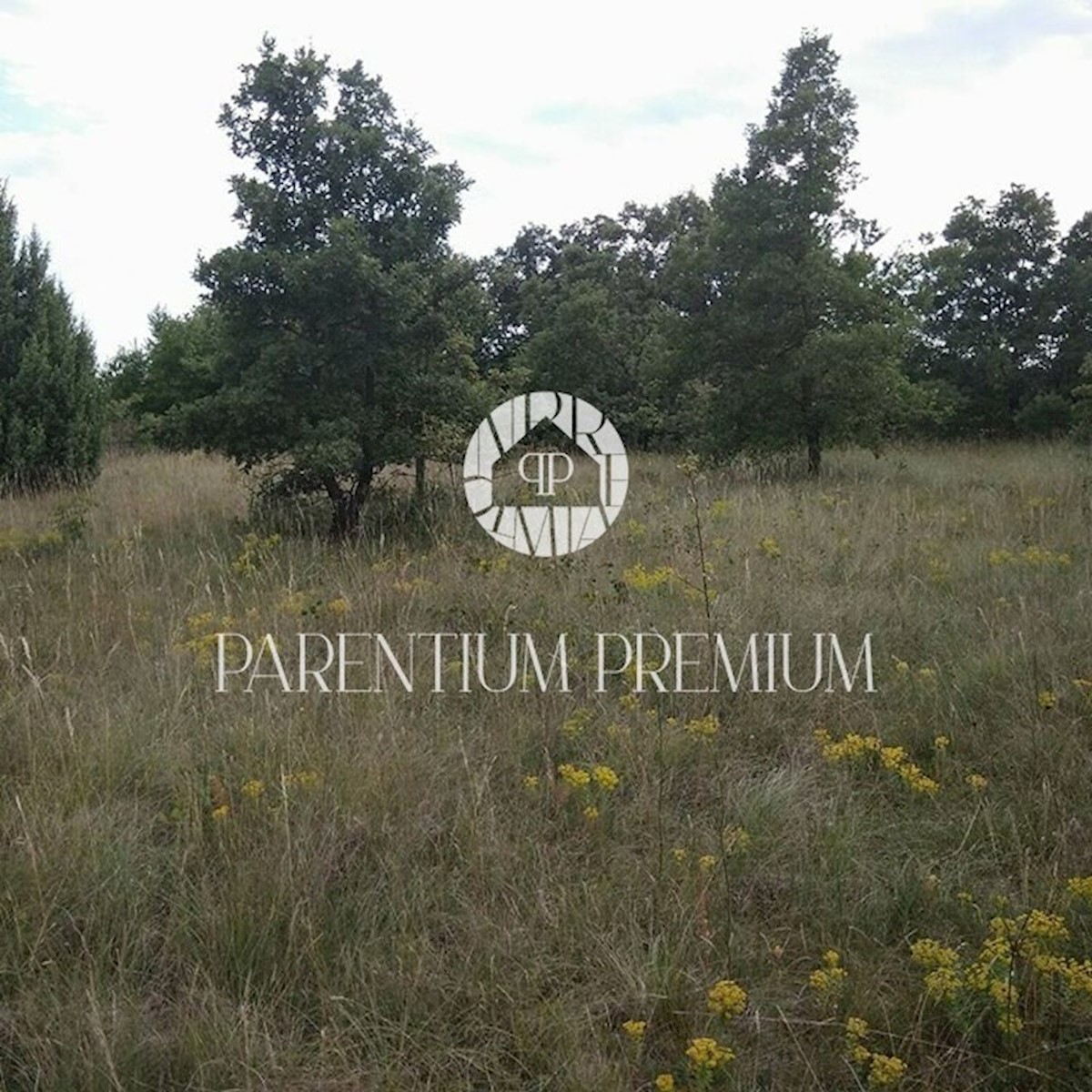 Parcela Na predaj - ISTARSKA  SVETVINČENAT 