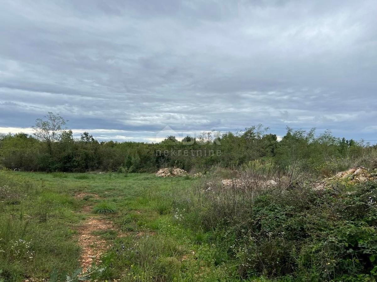 Terrain À vendre - ISTARSKA  Svetvinčenat