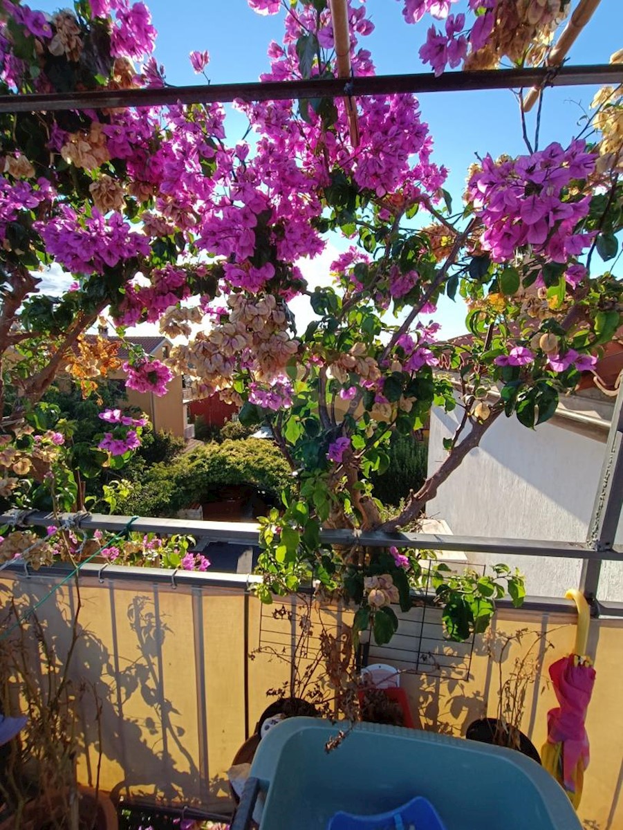Flat For sale - Istarska Rovinj - foto 1/26