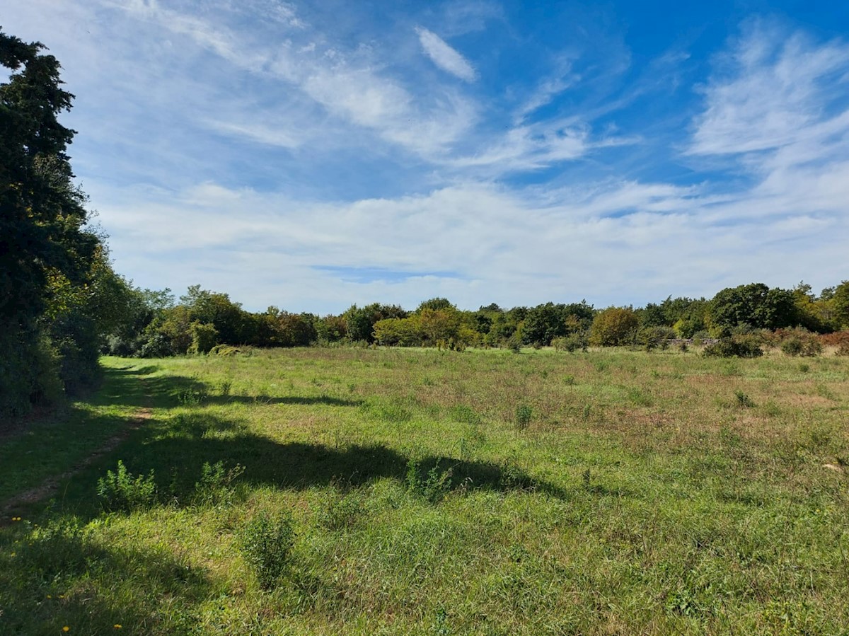 Pozemok Na predaj - ISTARSKA  BARBAN 