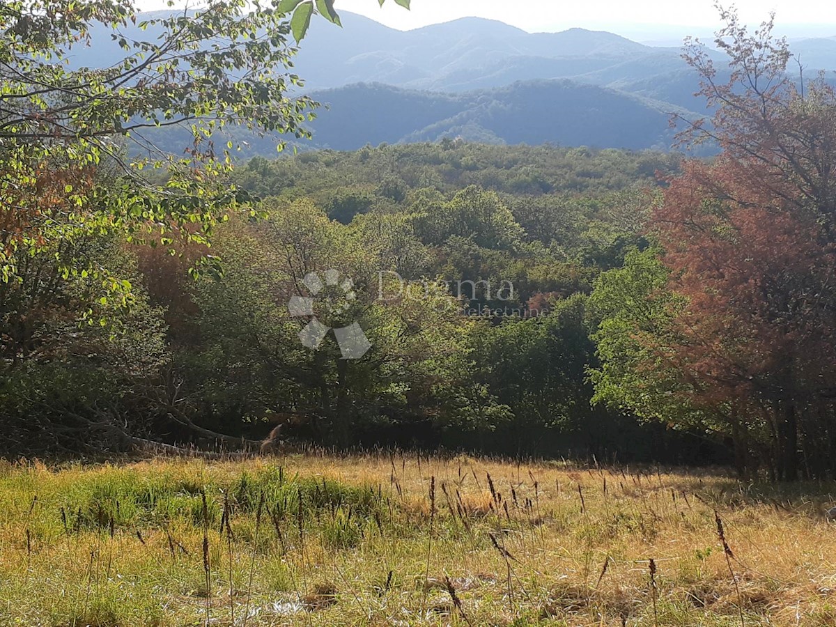 Land For sale - Primorsko-goranska Klana - foto 1/2
