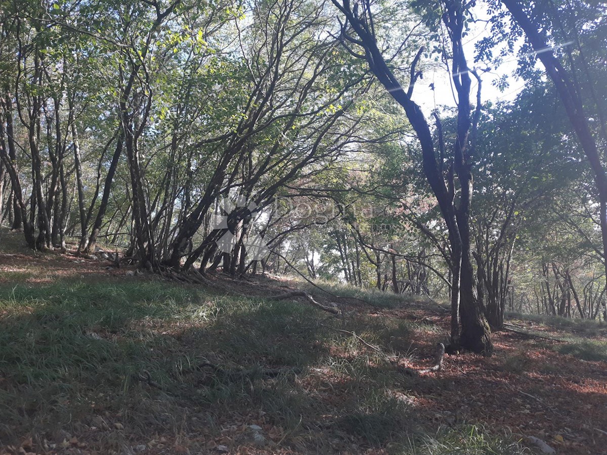 Land For sale - Primorsko-goranska Klana - foto 2/2