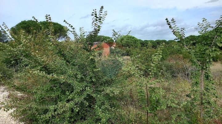 Grundstück zu verkaufen 1104 m² – Pula