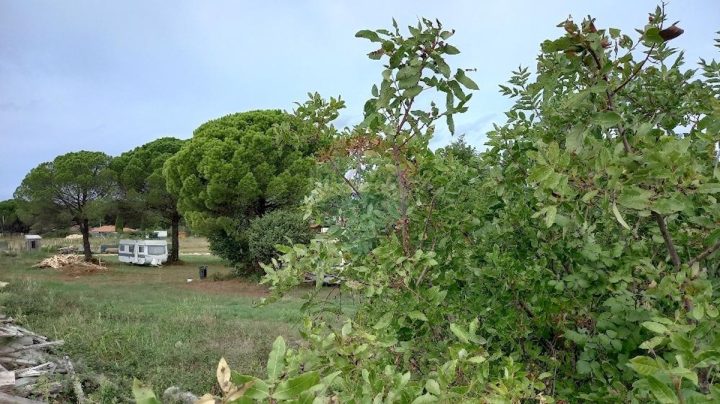 Land For sale - Istarska Pula - foto 4/8