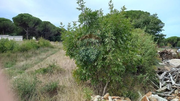 Land For sale - Istarska Pula - foto 5/8