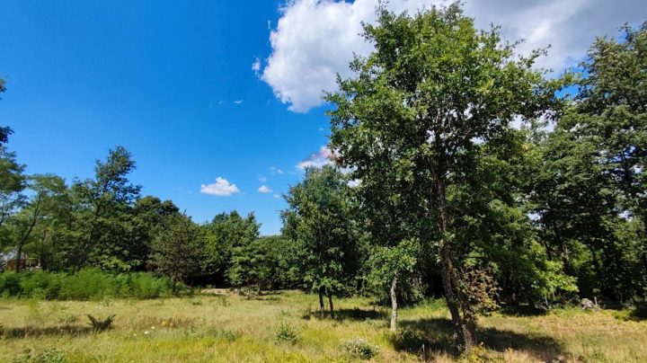 Terrain à vendre 11142 m² – Karojba