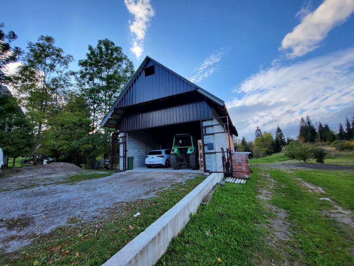 Haus Zu verkaufen - PRIMORSKO-GORANSKA  RAVNA GORA 