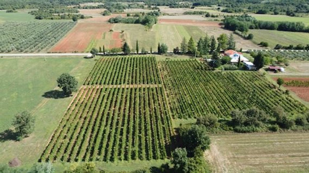 Kuća Na prodaju - ISTARSKA  POREČ 