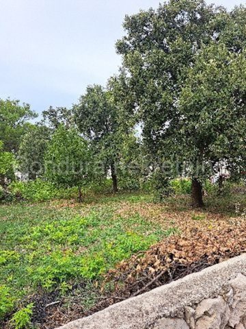 Pozemek Na prodej - Zadarska Vir - foto 4/6
