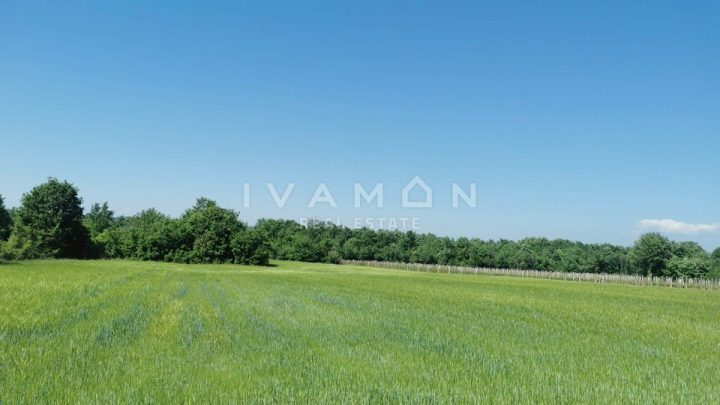 Terrain à vendre 15610 m² – Poreč
