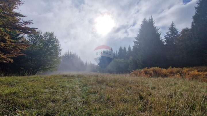 Działka na sprzedaż 5111 m² – Delnice