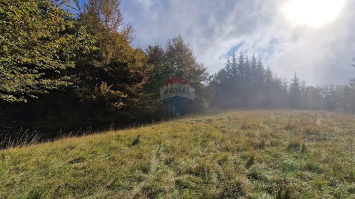 Grundstück Zu verkaufen - Primorsko-goranska Delnice - foto 3/4