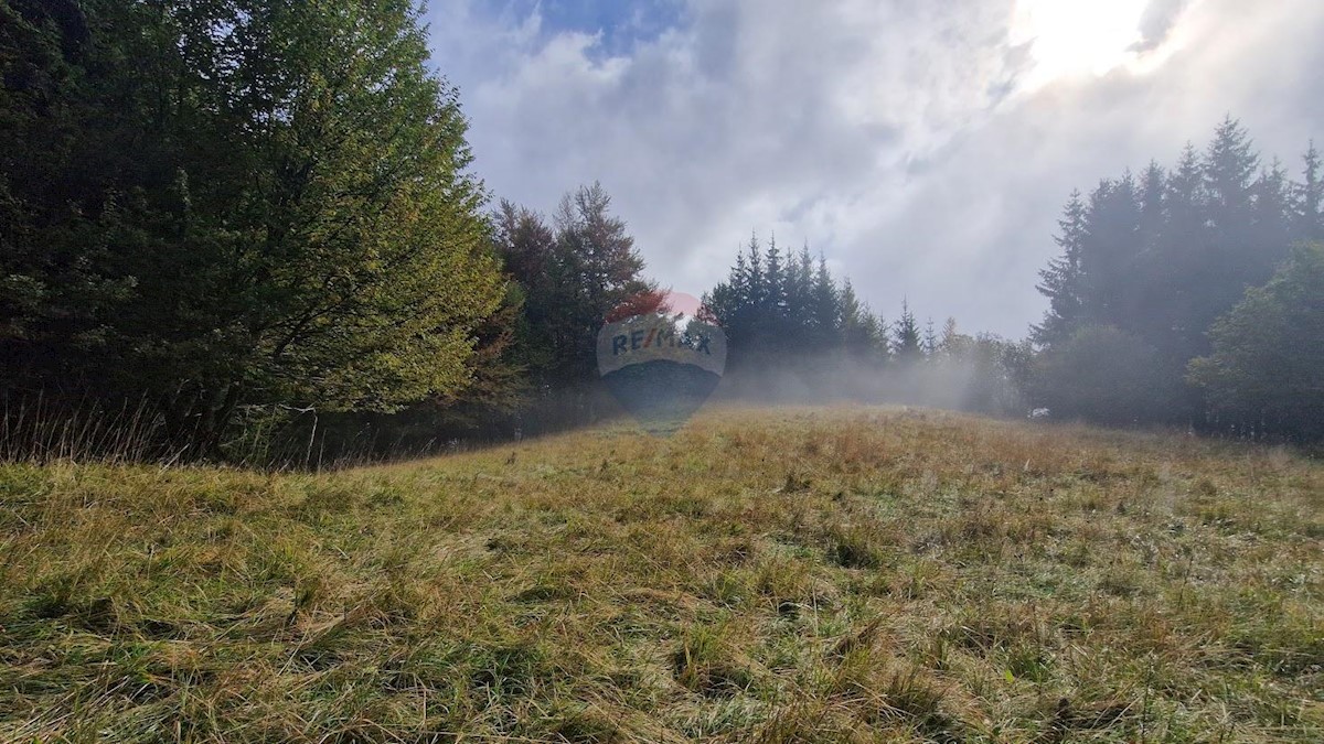 Terreno In vendita - PRIMORSKO-GORANSKA  DELNICE 