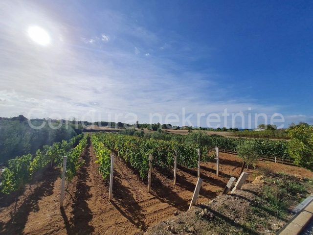Terrain à vendre 2837 m² – Nin