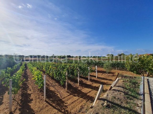 Land For sale - Zadarska Nin - foto 2/2