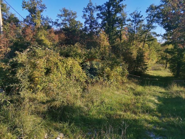 Parcela na predaj 4276 m² – Mali Brgud