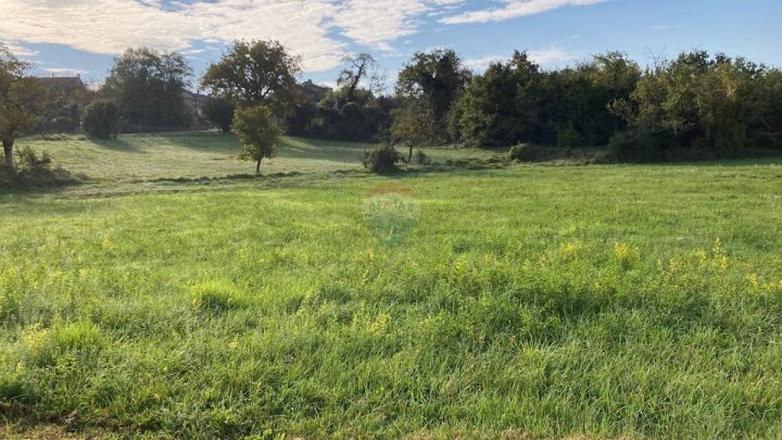 Parcela na predaj 7136 m² – Šterna