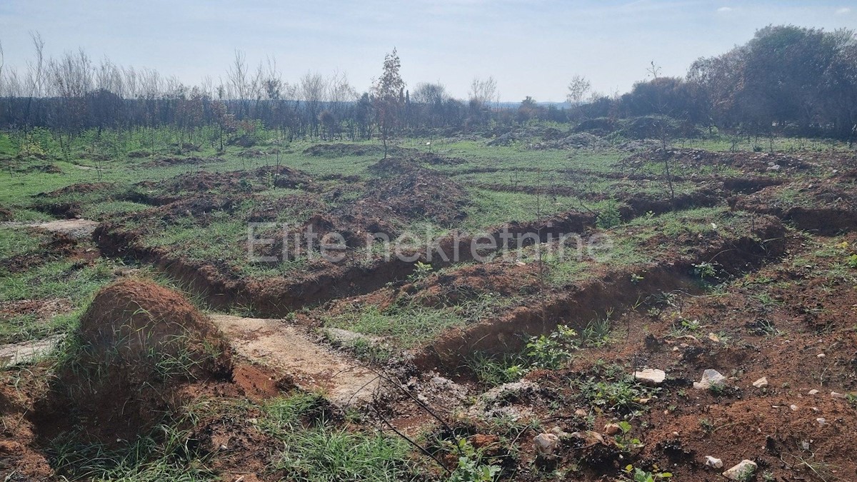 Land For sale - ISTARSKA  LIŽNJAN 