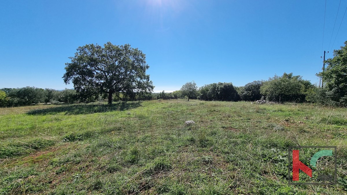 Terreno In vendita - ISTARSKA  MARČANA 