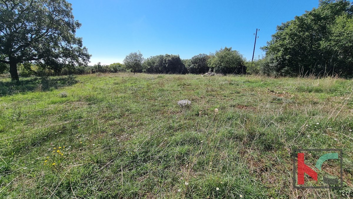 Land For sale - ISTARSKA  MARČANA 