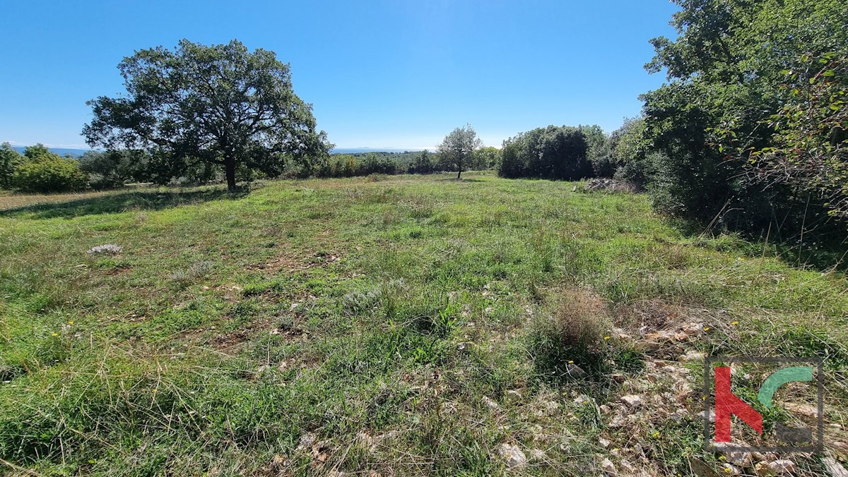 Land For sale - ISTARSKA  MARČANA 