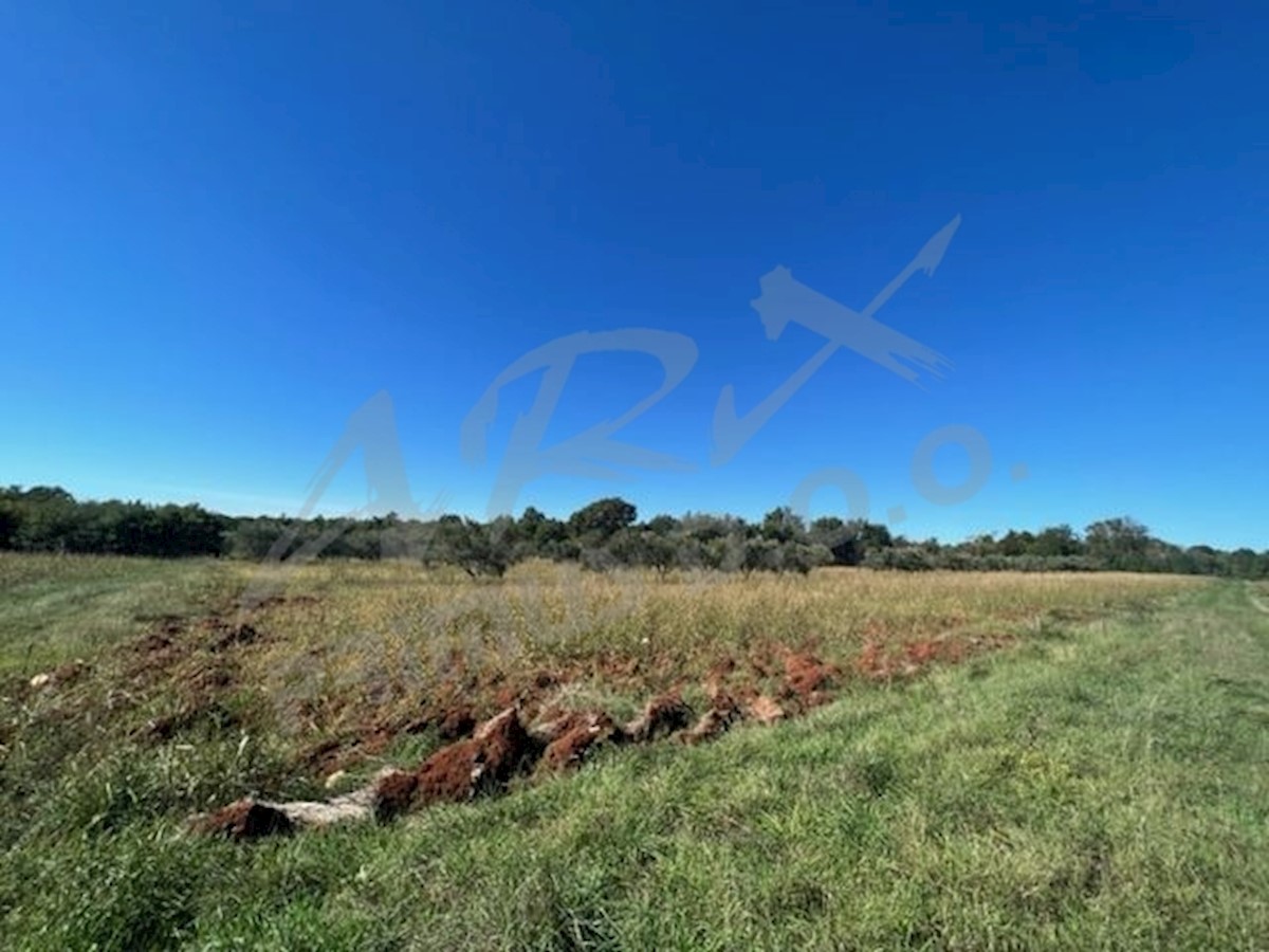 Land For sale - ISTARSKA  UMAG 