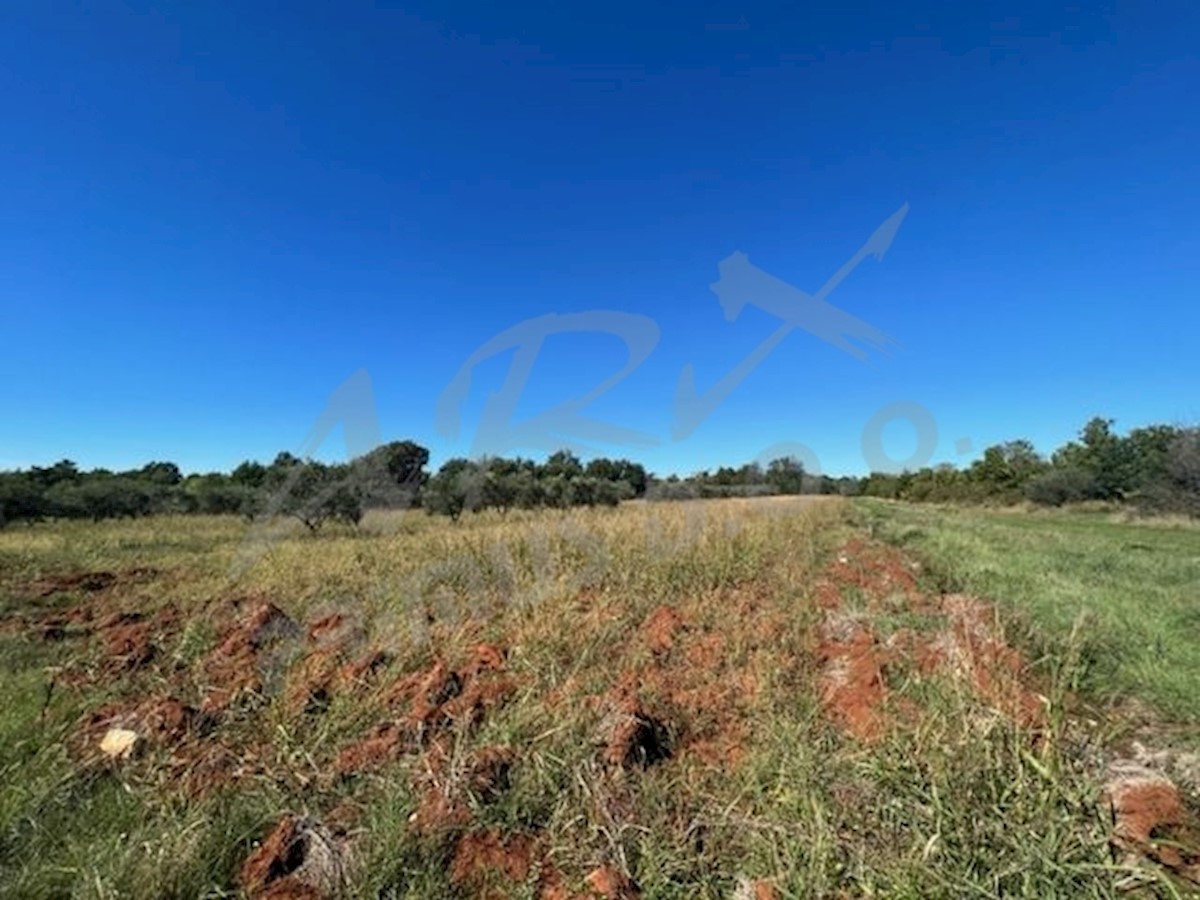 Land For sale - ISTARSKA  UMAG 