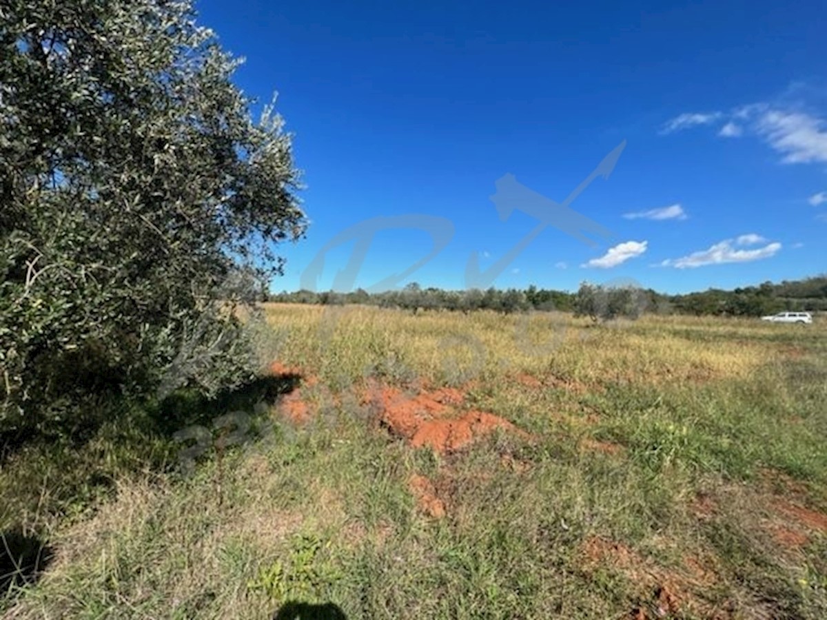 Terreno In vendita - ISTARSKA  UMAG 