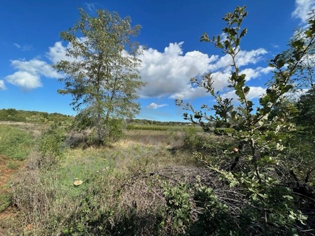 Terreno In vendita - ISTARSKA  UMAG 