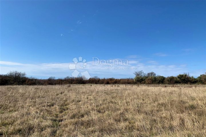 Zemljište na prodaju 13861 m² – Svetvinčenat