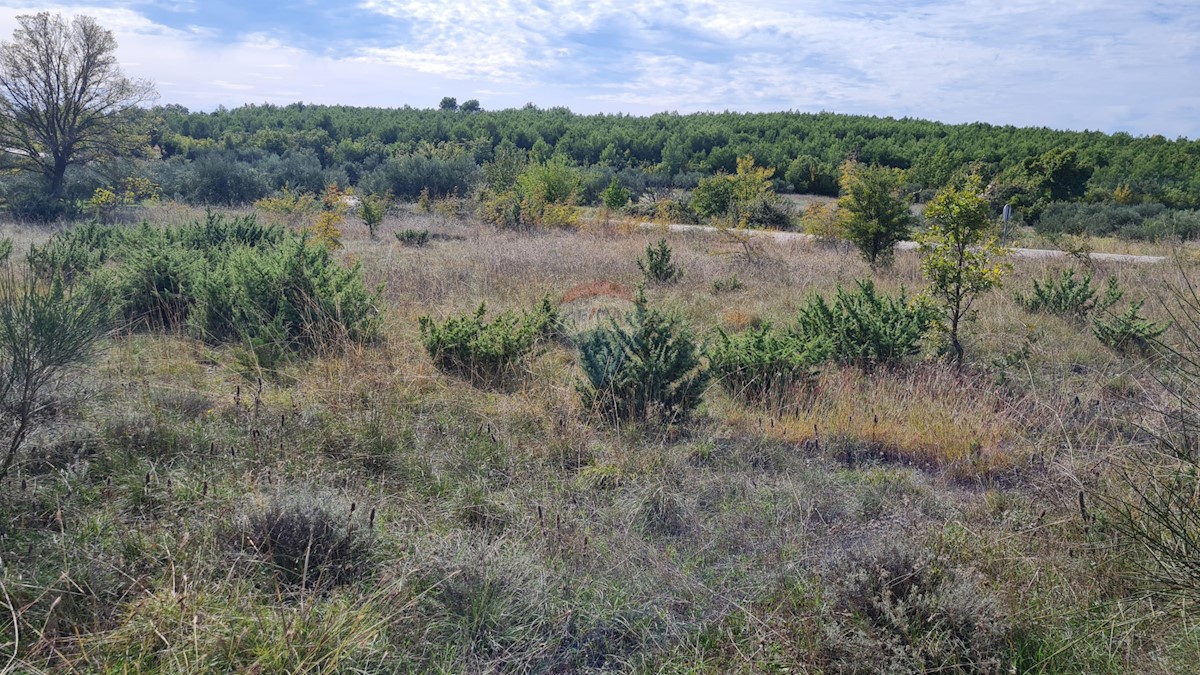 Land For sale - ŠIBENSKO-KNINSKA  SKRADIN 