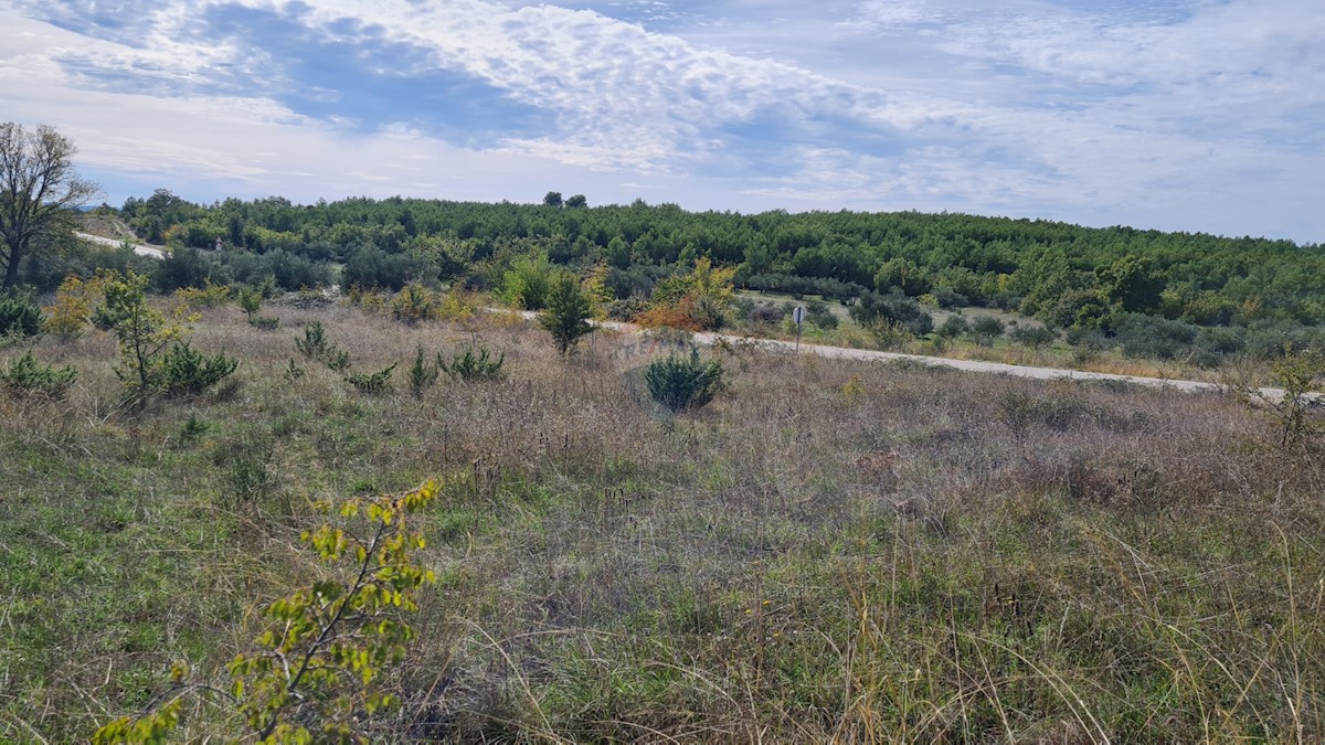 Land For sale - ŠIBENSKO-KNINSKA  SKRADIN 