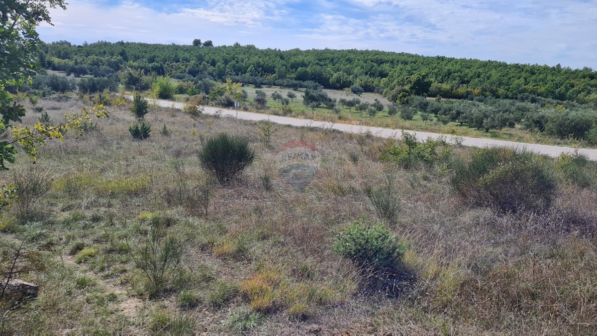 Land For sale - ŠIBENSKO-KNINSKA  SKRADIN 