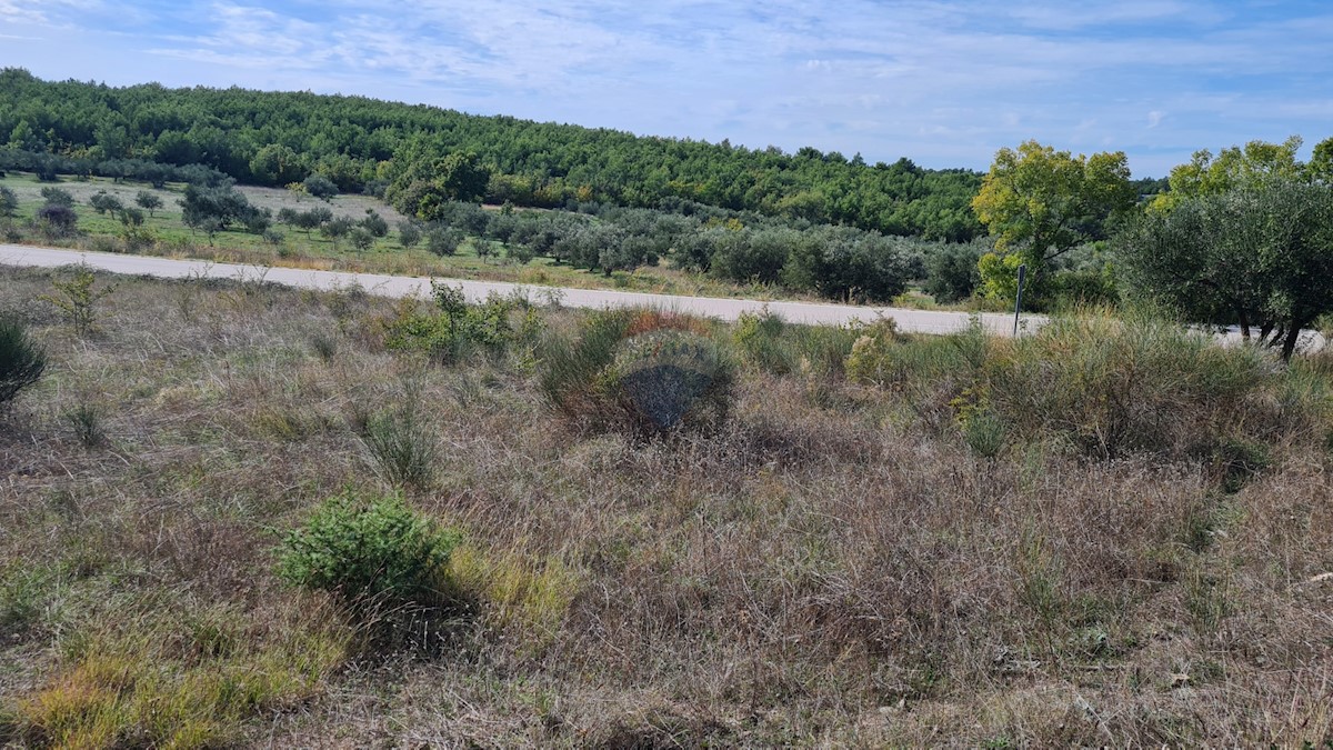 Land For sale - ŠIBENSKO-KNINSKA  SKRADIN 