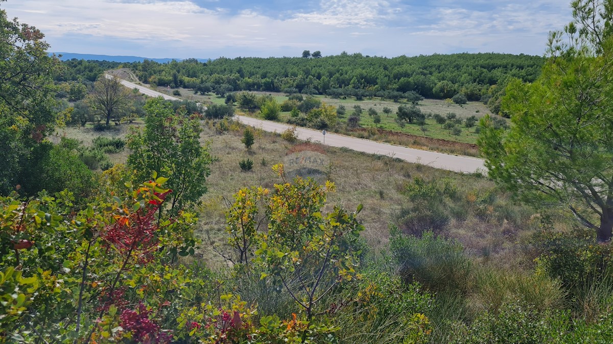 Land For sale - ŠIBENSKO-KNINSKA  SKRADIN 