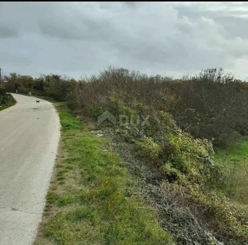 Pozemok Na predaj - Istarska Svetvinčenat - foto 5/5