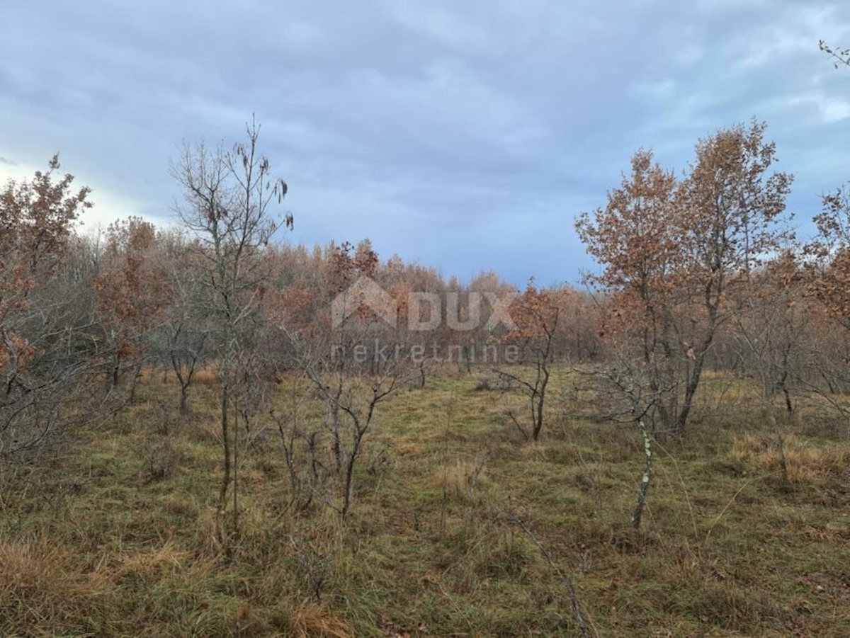 Land For sale KAŠTELIR