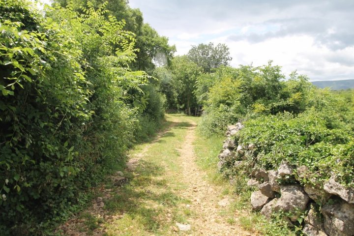 Terreno in vendita 109780 m² – Krk