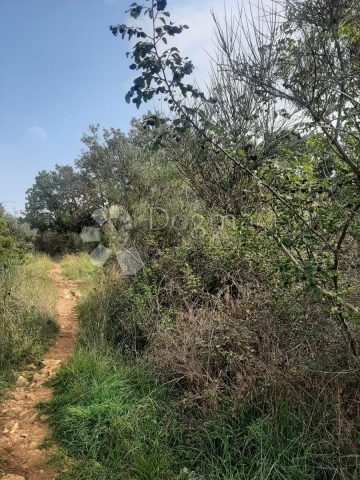 Land For sale - Zadarska Zadar - foto 3/5