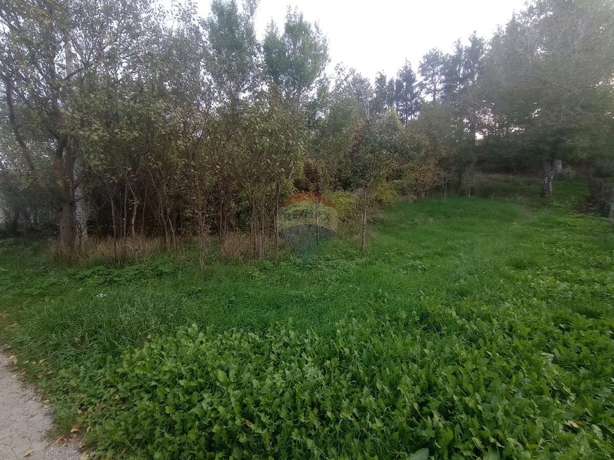 House For sale - LIČKO-SENJSKA  OTOČAC 