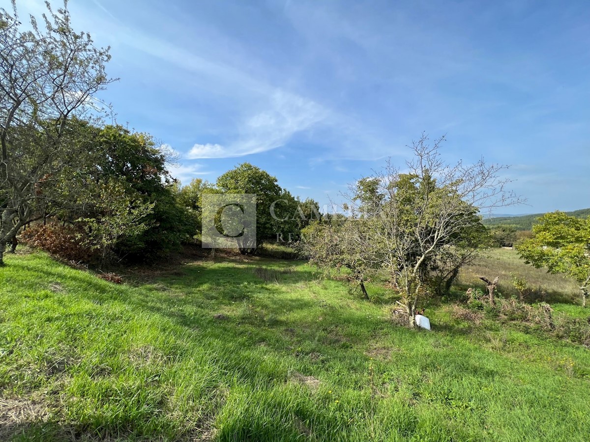 House For sale - ISTARSKA  KAROJBA 