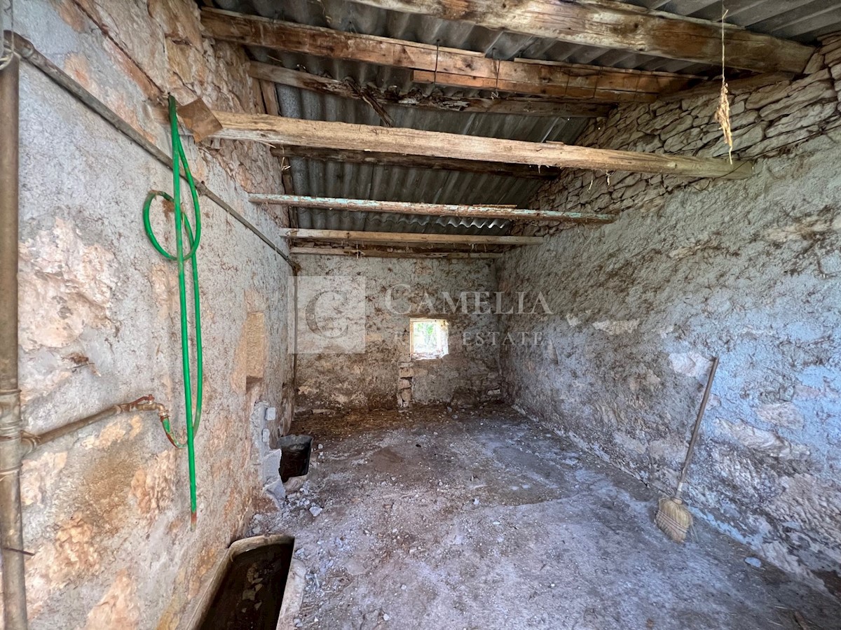 House For sale - ISTARSKA  Karojba