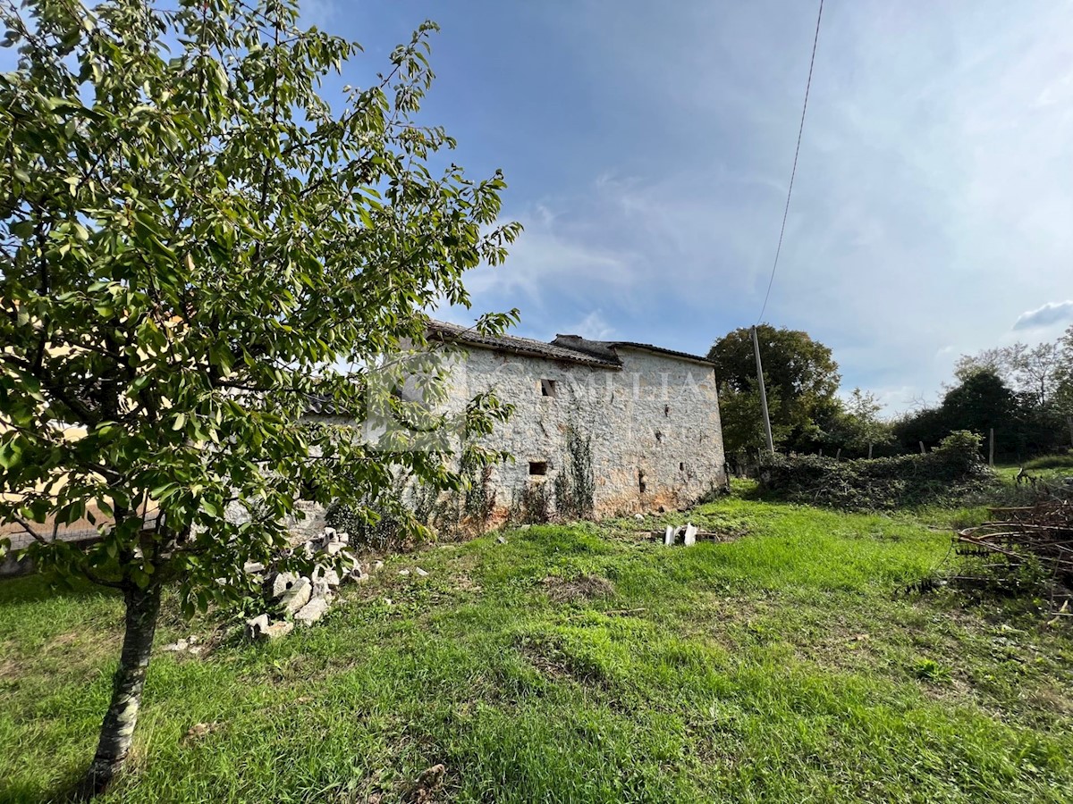 House For sale - ISTARSKA  KAROJBA 