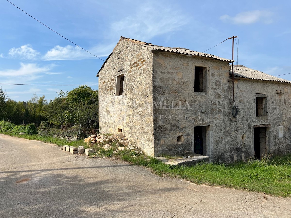 House For sale - ISTARSKA  KAROJBA 
