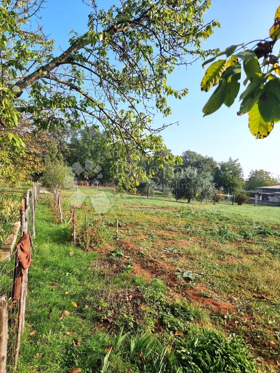 Dom Na predaj - ISTARSKA  MARČANA 