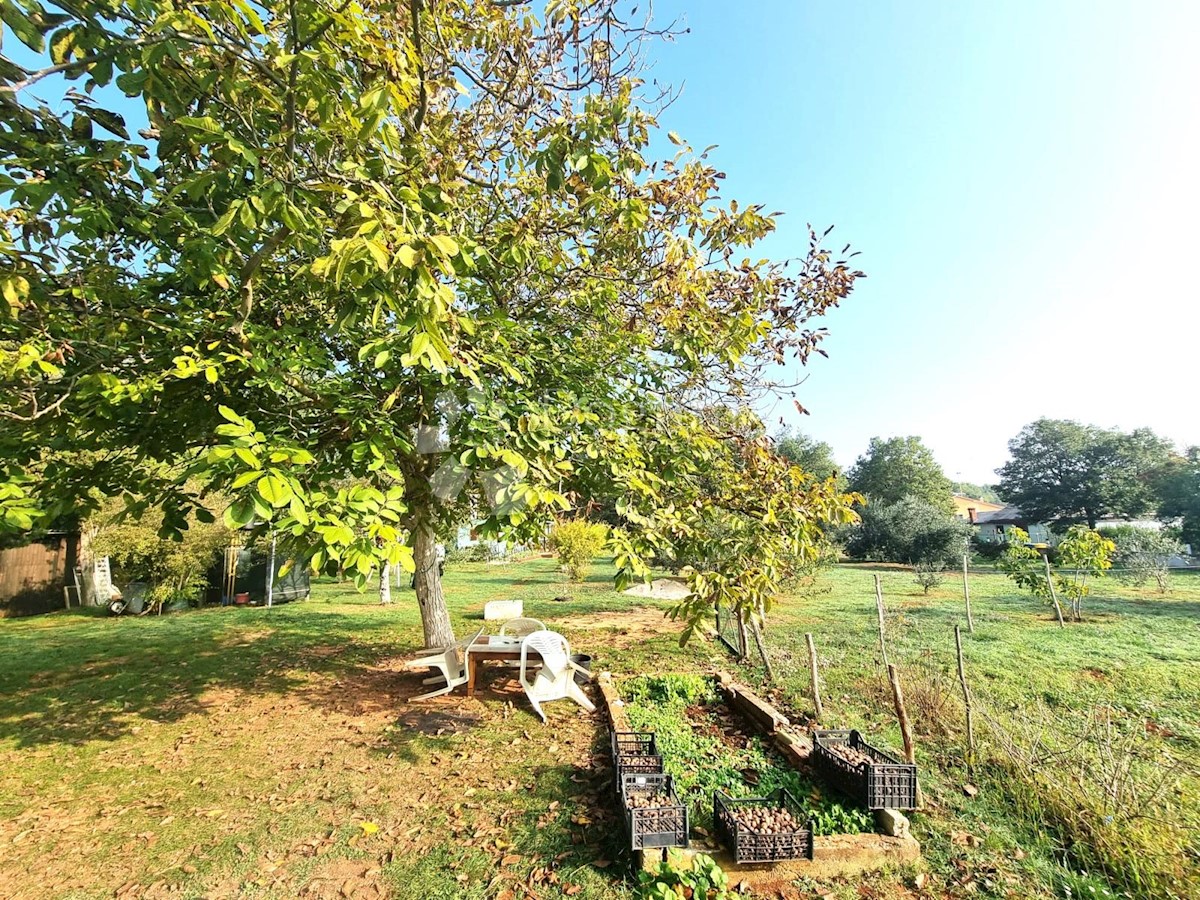 Casa In vendita - ISTARSKA  Marčana