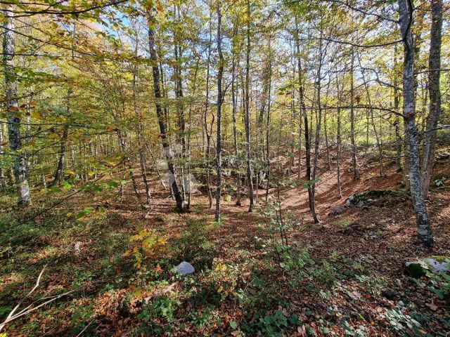 Zemljište na prodaju 58000 m² – Brod Moravice